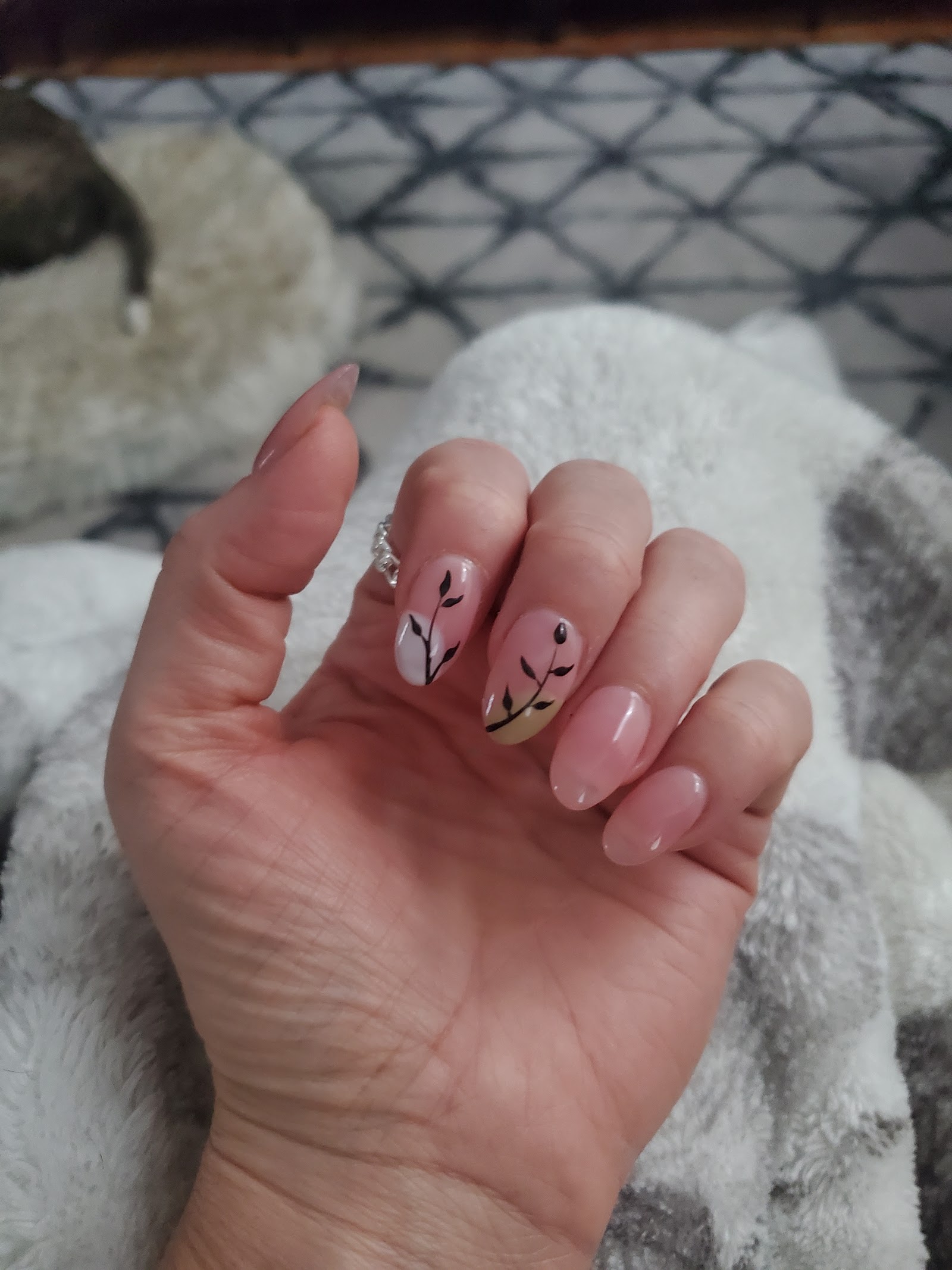 Stella Nails & Spa Parker nail photo 2